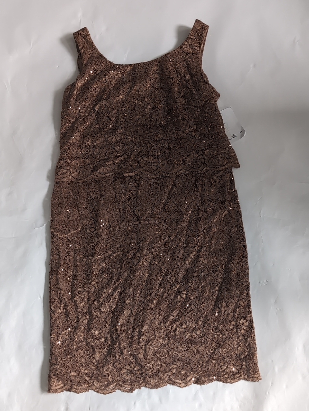 R&M Richards Brown Sequined Shimmer Lace Sleeveless Dress